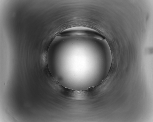 X0000099940240200805231258