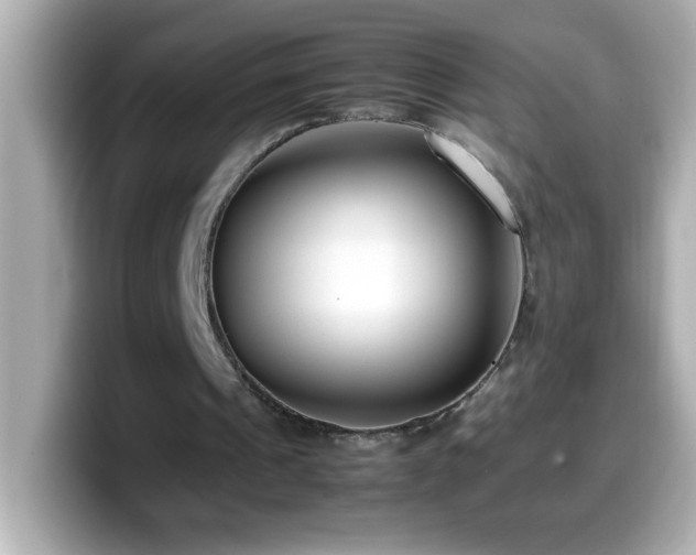 X0000099940241200805231257