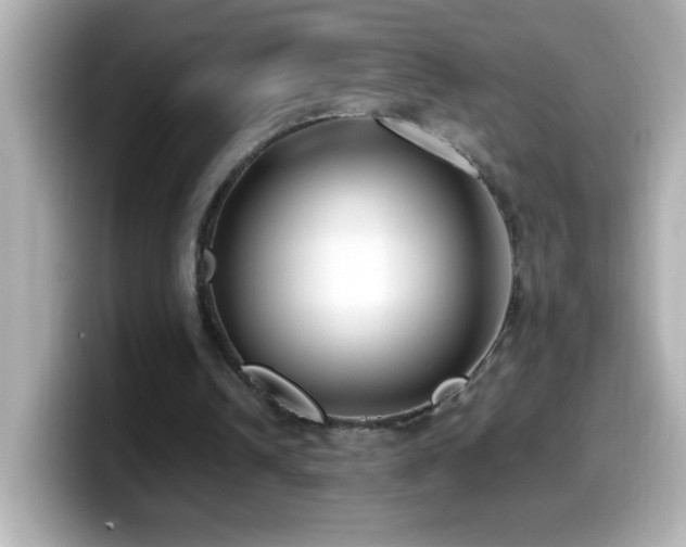 X0000099940242200805231257