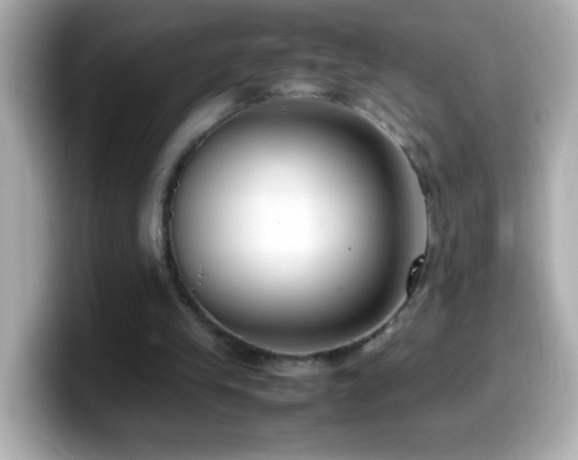 X0000099940245200805231257