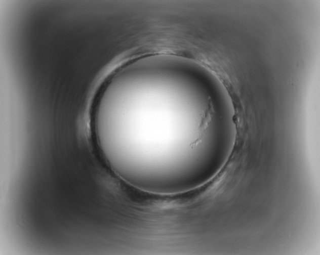 X0000099940246200805231257