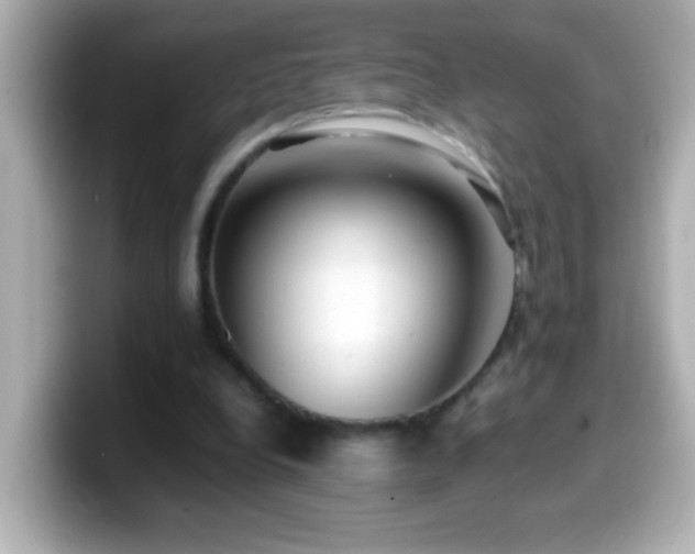 X0000099940248200805231257
