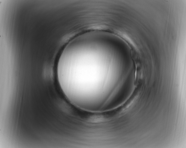 X0000099940252200805231258