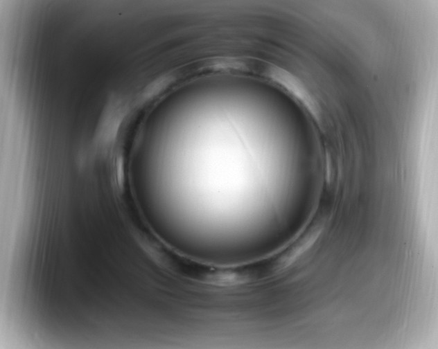 X0000099940253200805231258