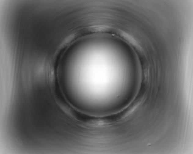 X0000099940254200805231258