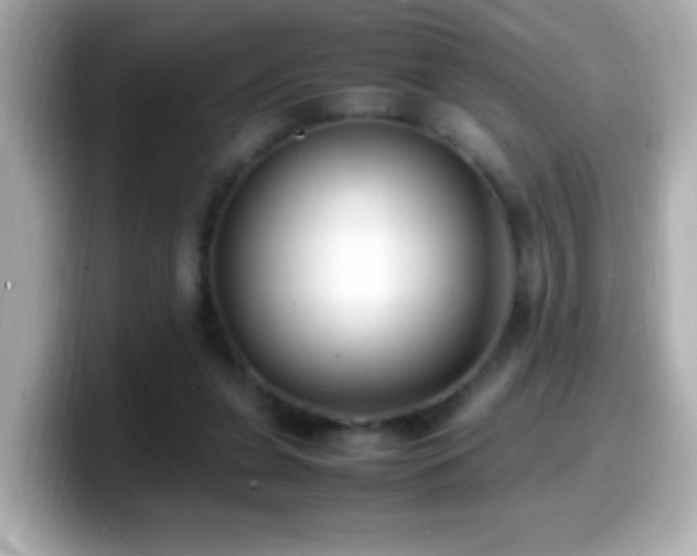X0000099940255200805231258