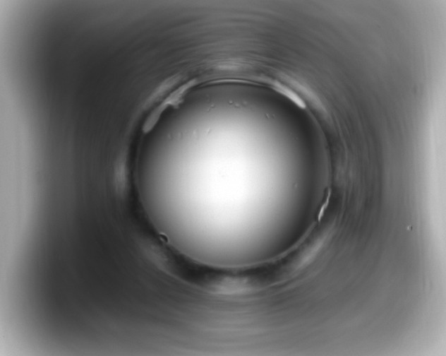 X0000099940256200805231258
