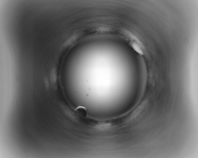 X0000099940257200805231258
