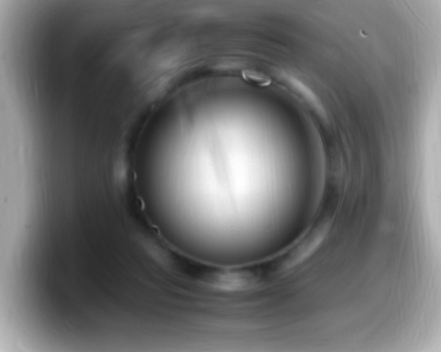 X0000099940261200805231258
