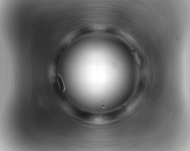 X0000099940264200805231258
