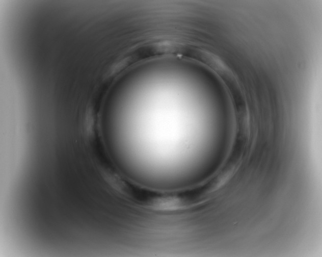 X0000099940266200805231258