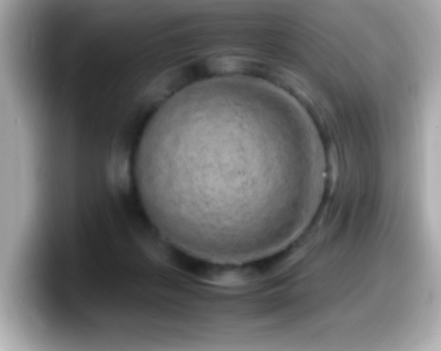 X0000099940267200805231258