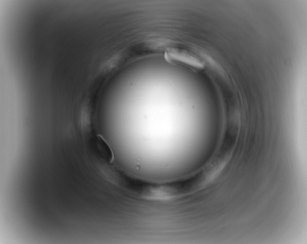 X0000099940268200805231258