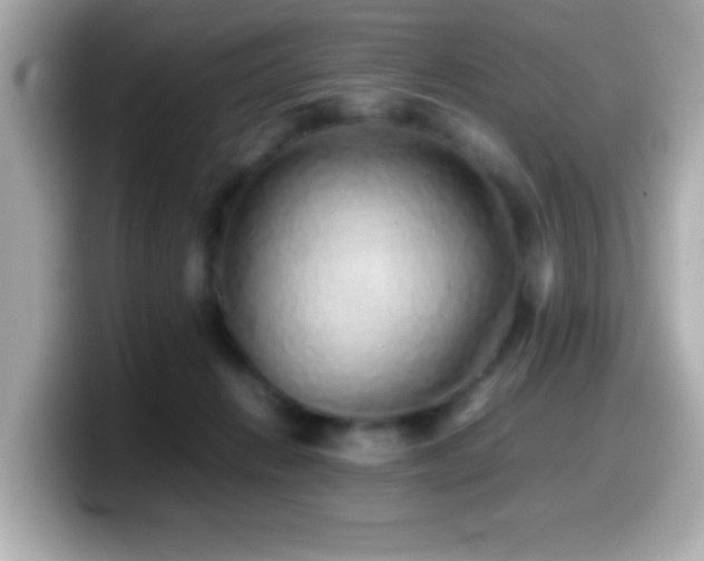 X0000099940270200805231258