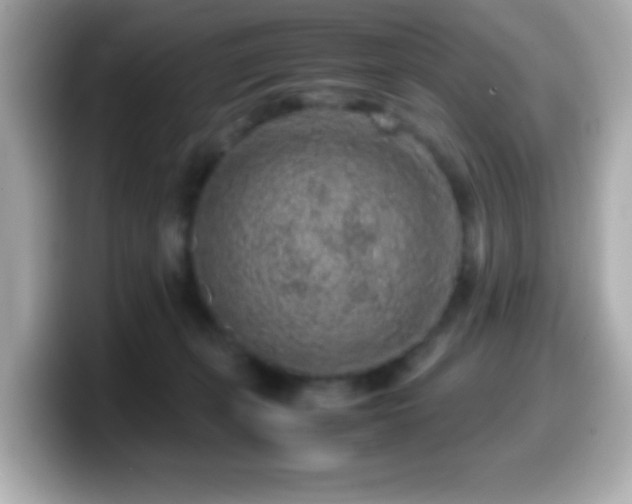 X0000099940271200805231258