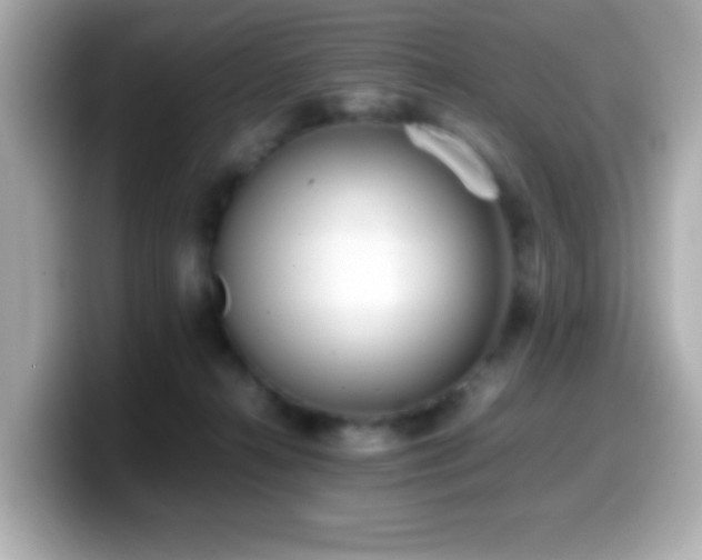 X0000099940272200805231258
