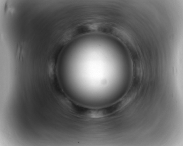 X0000099940275200805231258