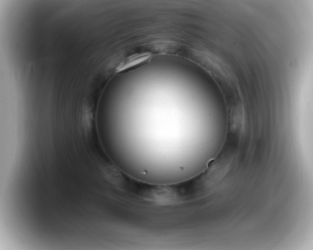 X0000099940279200805231258