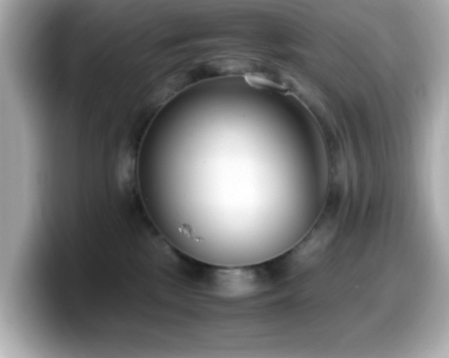 X0000099940281200805231258