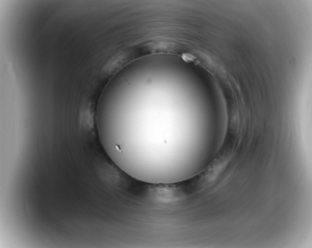 X0000099940282200805231258