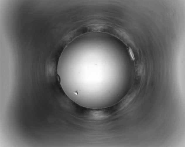 X0000099940283200805231258
