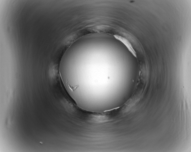X0000099940284200805231258