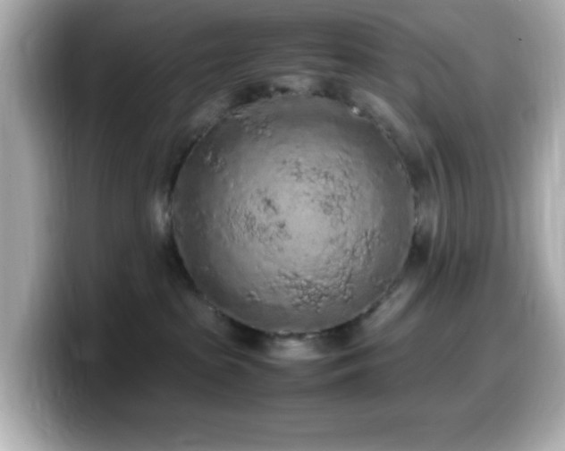 X0000099940285200805231258