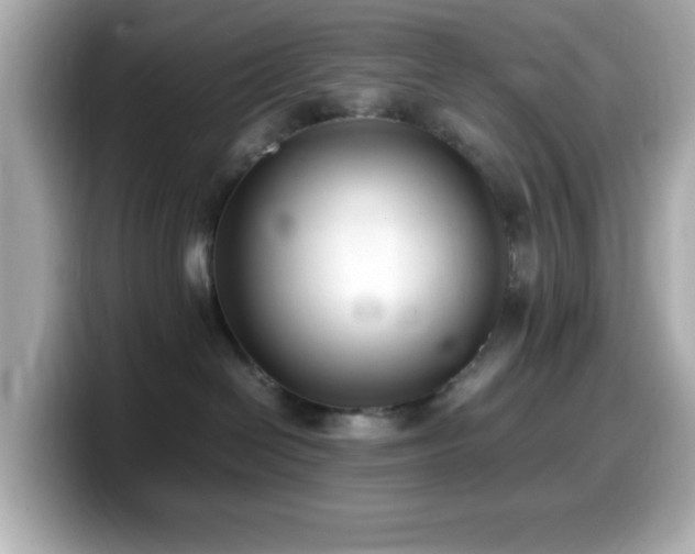 X0000099940286200805231258