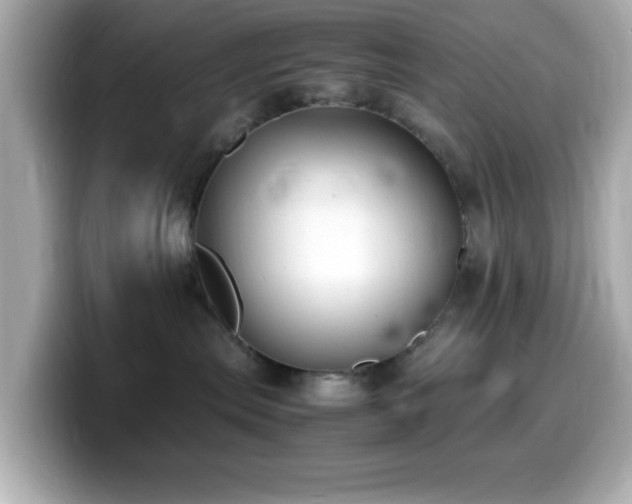 X0000099940287200805231258