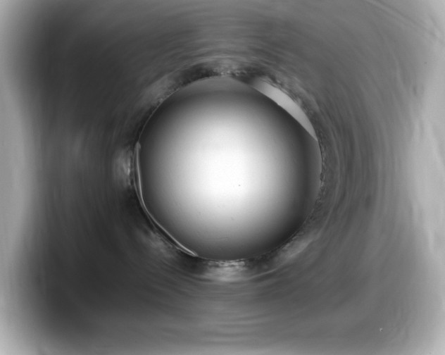 X0000099940288200805231258