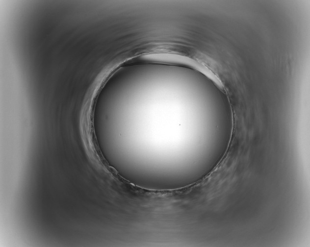 X0000099940289200805231257
