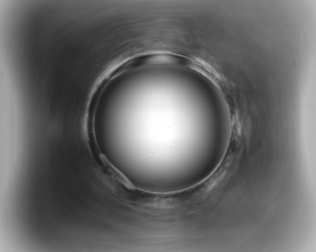 X0000099940292200805231257