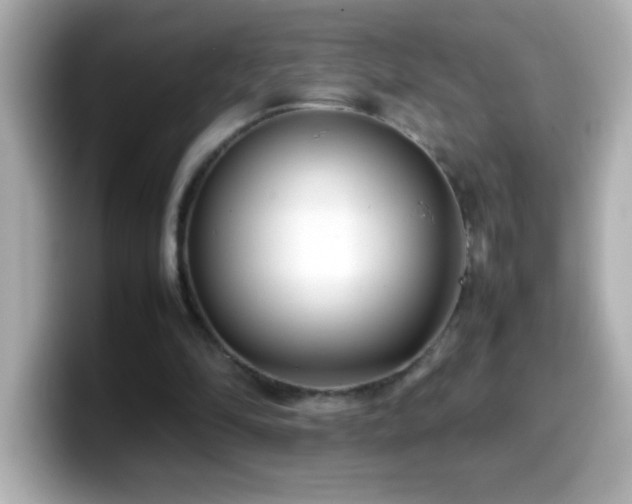 X0000099940294200805231257