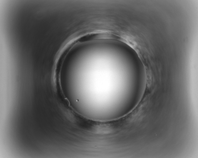 X0000099940296200805231257