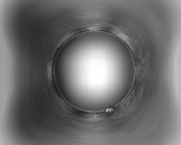 X0000099940297200805231257