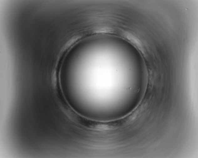 X0000099940298200805231257