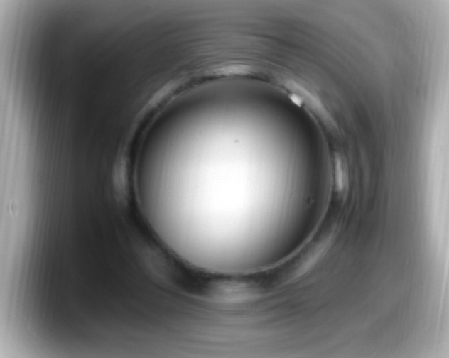 X0000099940300200805231257