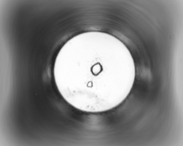X0000099940302200805231257