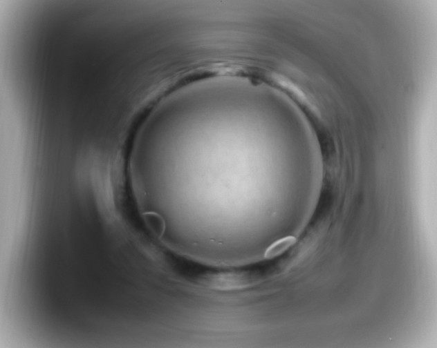X0000099940303200805231257