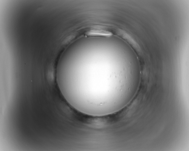 X0000099940305200805231257