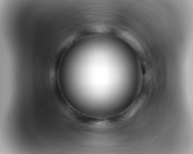 X0000099940306200805231257
