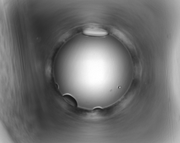 X0000099940309200805231257