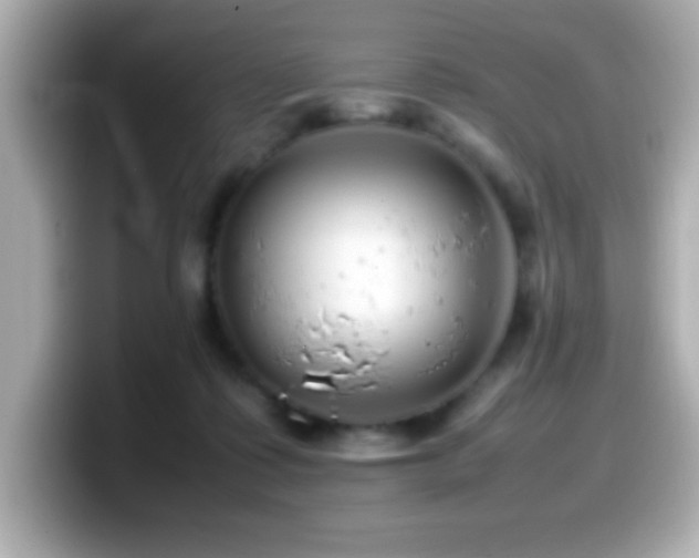 X0000099940315200805231257