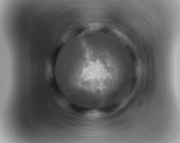 X0000099940316200805231257