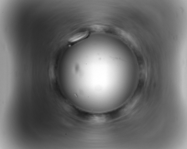 X0000099940317200805231257