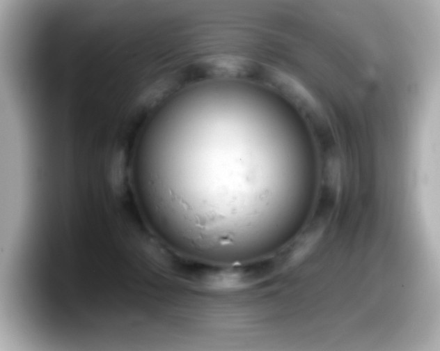 X0000099940318200805231257