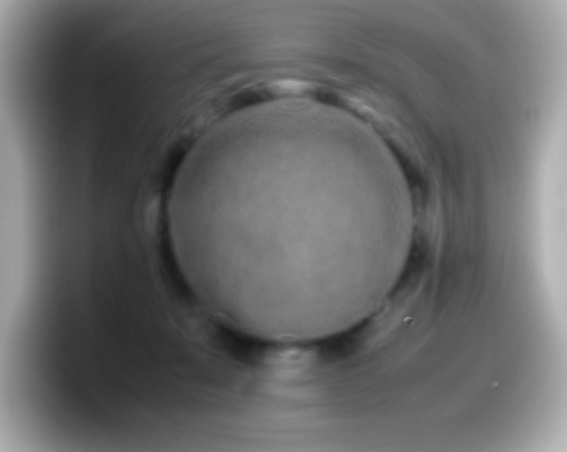 X0000099940319200805231257