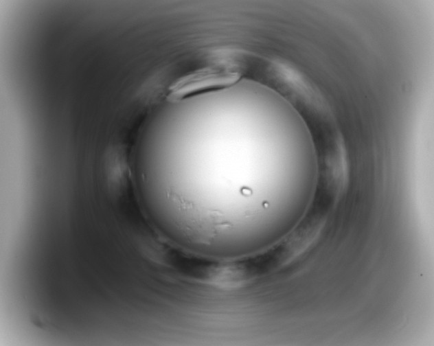X0000099940320200805231257