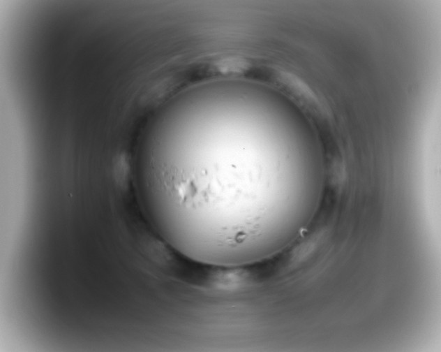 X0000099940321200805231257