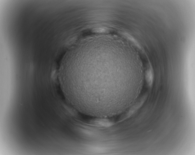 X0000099940322200805231257